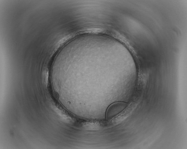 X0000111480110200907141226