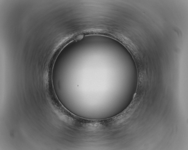 X0000111480112200907141226