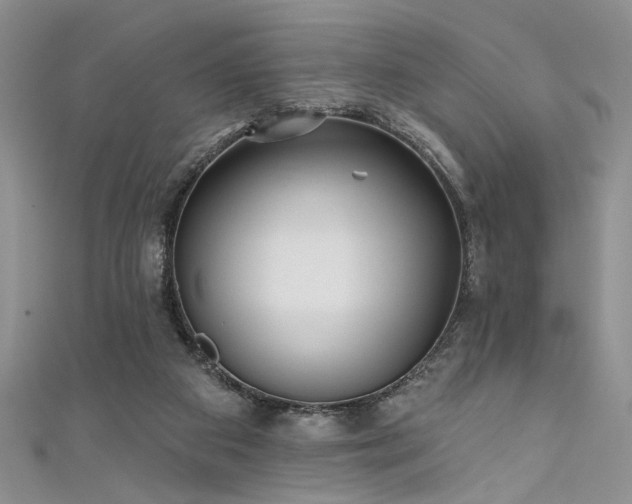 X0000111480113200907141226