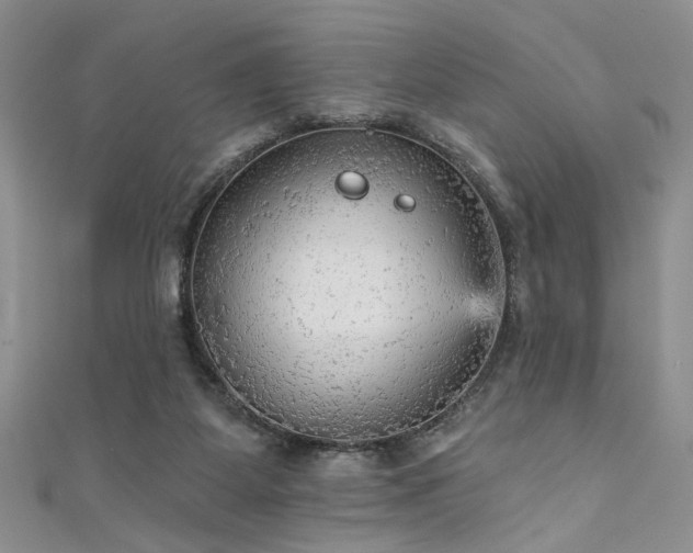 X0000111480115200907141226