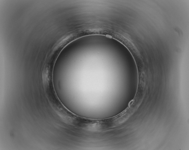 X0000111480116200907141226