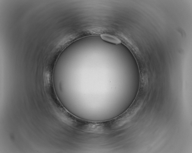 X0000111480117200907141225