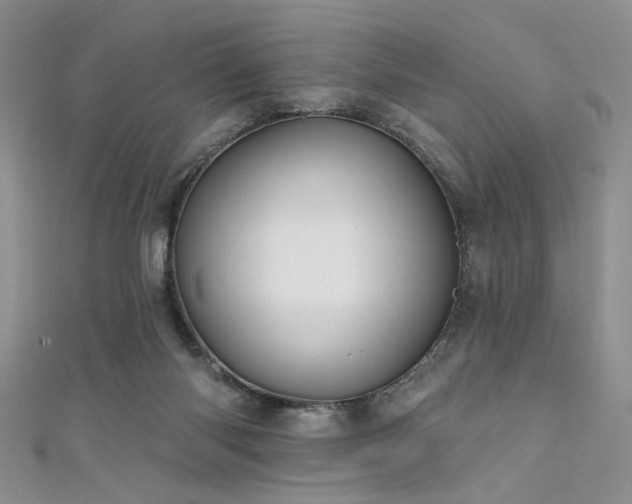 X0000111480118200907141225