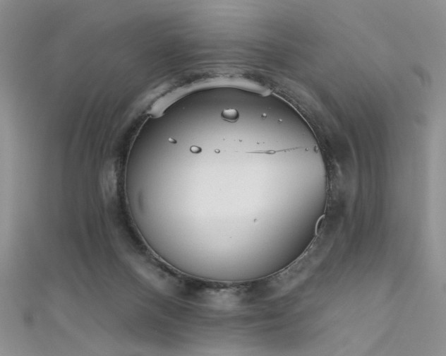 X0000111480120200907141225