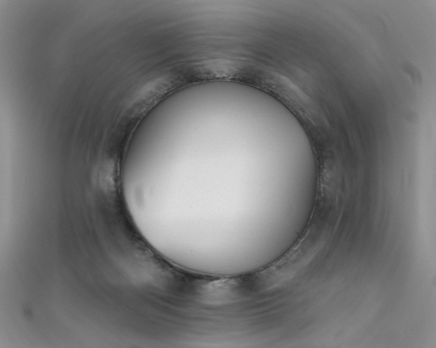 X0000111480122200907141225
