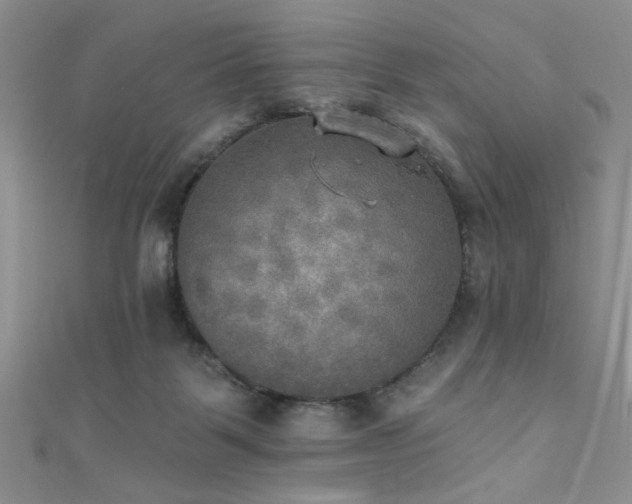 X0000111480123200907141225