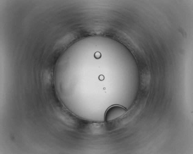 X0000111480126200907141225