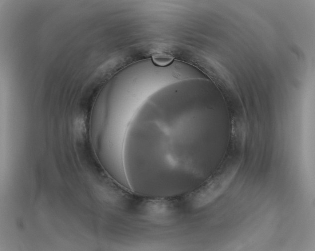 X0000111480127200907141225