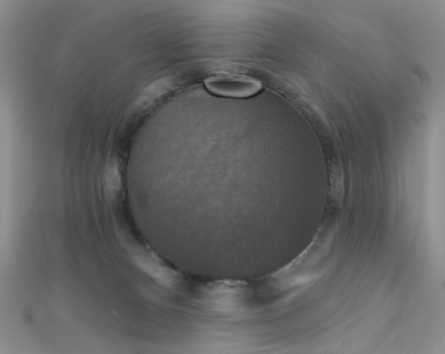 X0000111480128200907141225