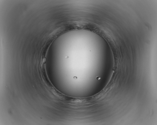 X0000111480129200907141225