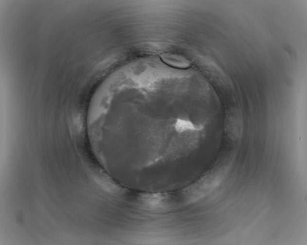 X0000111480131200907141225