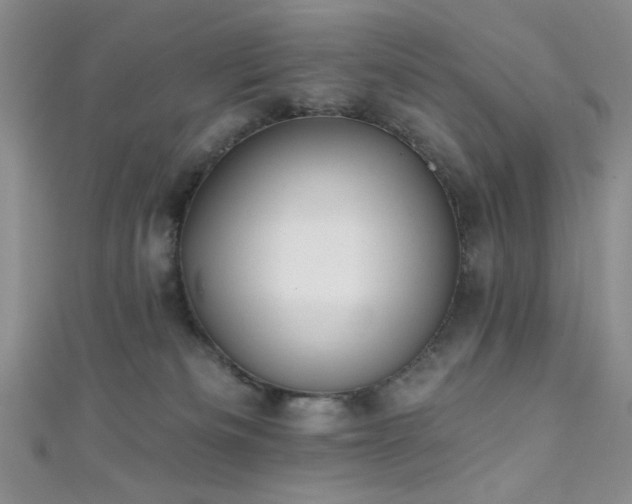 X0000111480133200907141225