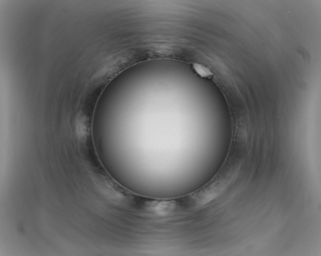 X0000111480135200907141225
