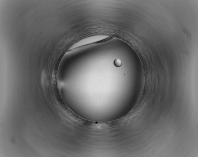 X0000111480137200907141225