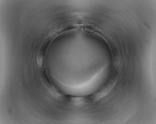 X0000111480139200907141225