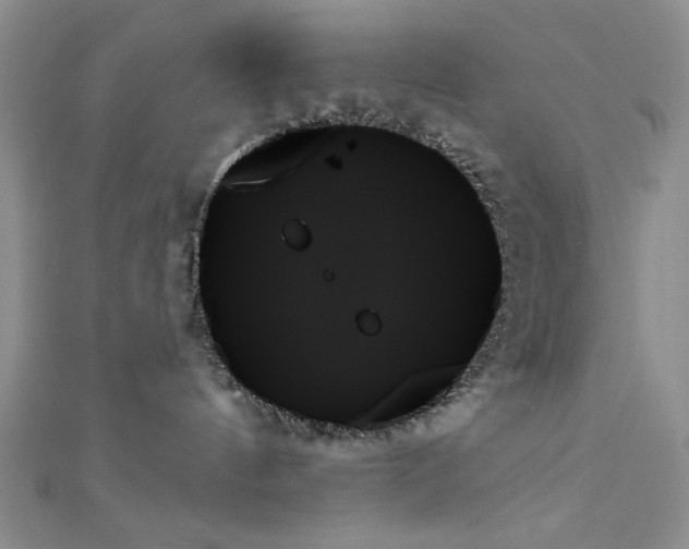 X0000111480144200907141225