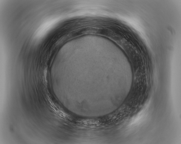X0000111480146200907141225