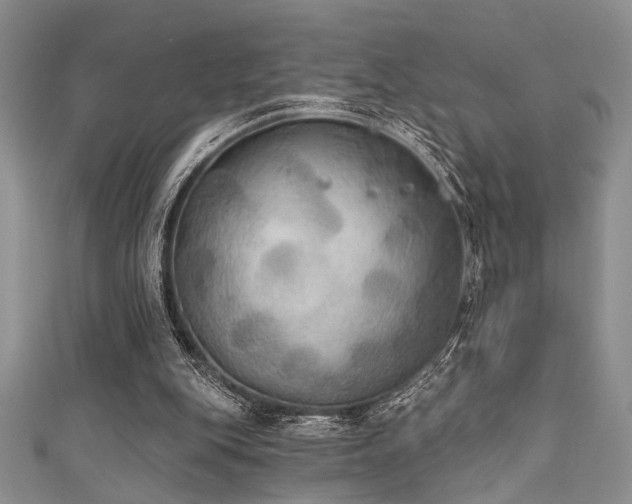 X0000111480151200907141225