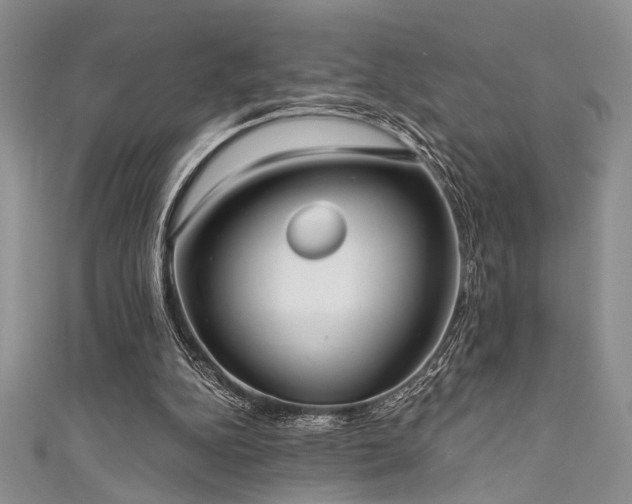 X0000111480152200907141225