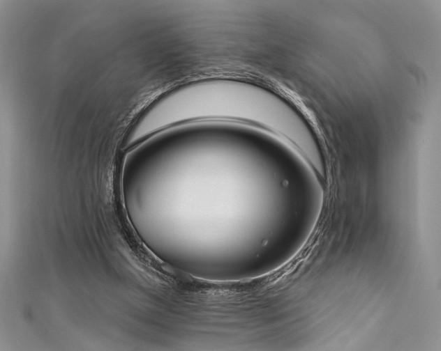 X0000111480154200907141225