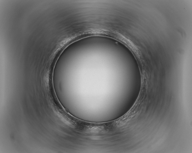 X0000111480155200907141225
