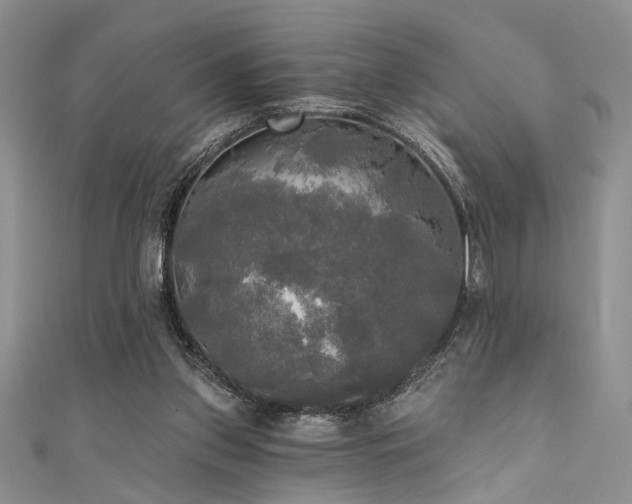 X0000111480157200907141225