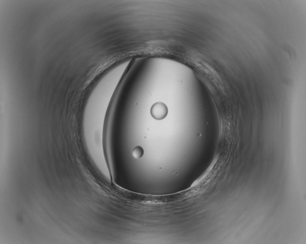 X0000111480158200907141225