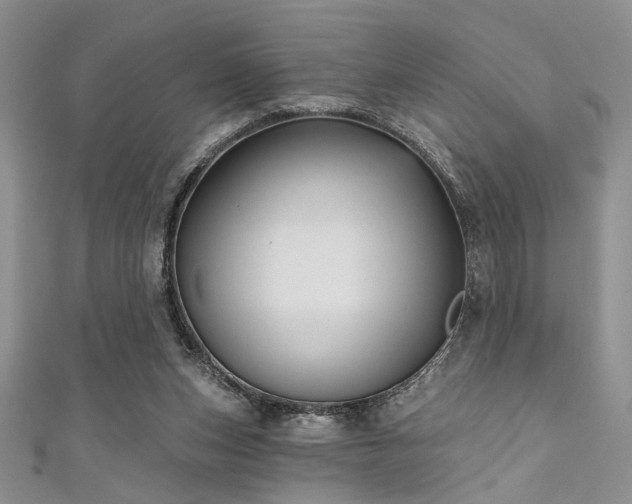 X0000111480159200907141225