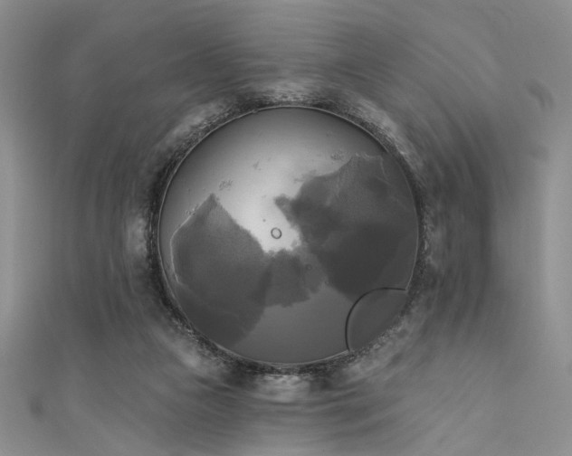 X0000111480161200907141225