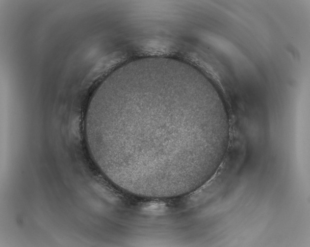 X0000111480162200907141225