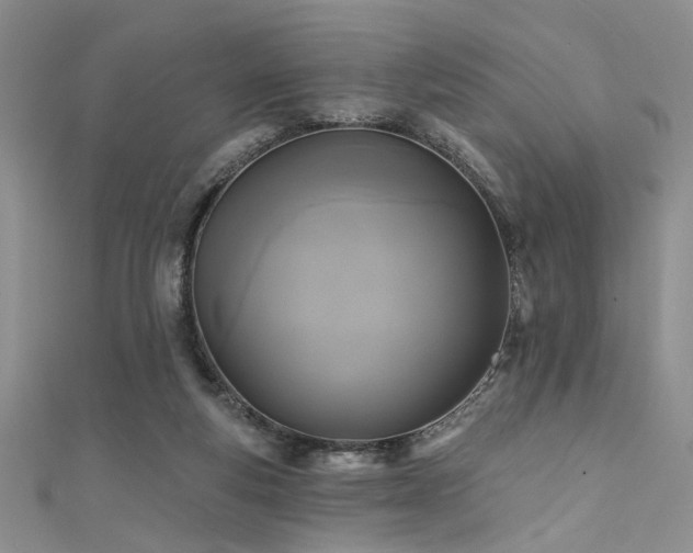 X0000111480163200907141225