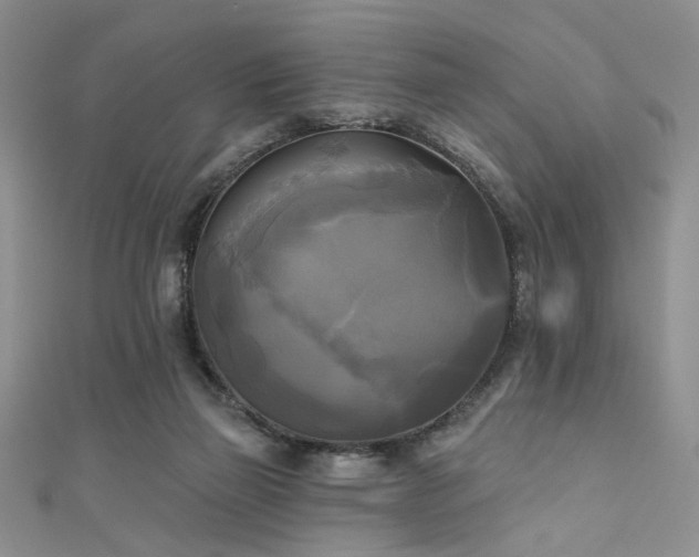 X0000111480165200907141225