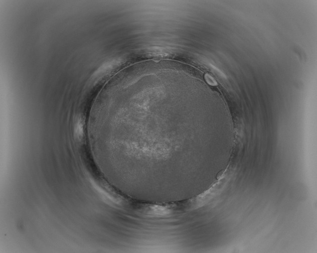 X0000111480166200907141225