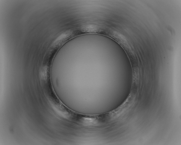 X0000111480167200907141225
