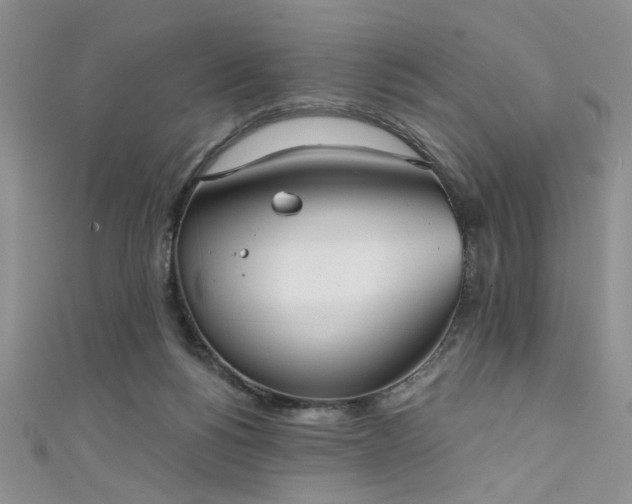 X0000111480168200907141225