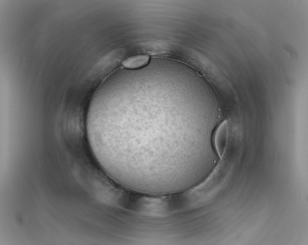X0000111480170200907141225