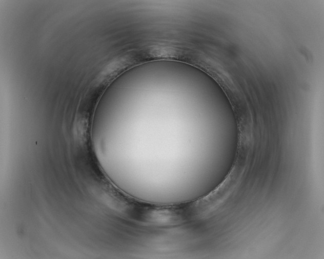 X0000111480171200907141225