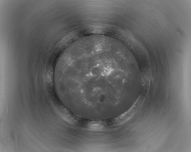 X0000111480175200907141225