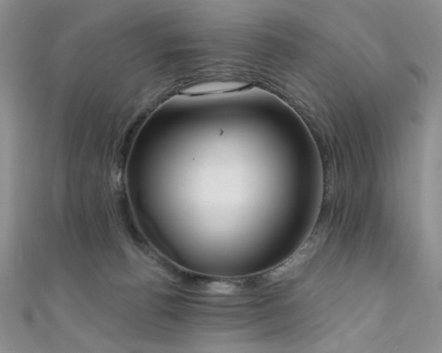 X0000111480176200907141225