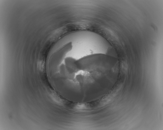 X0000111480177200907141225