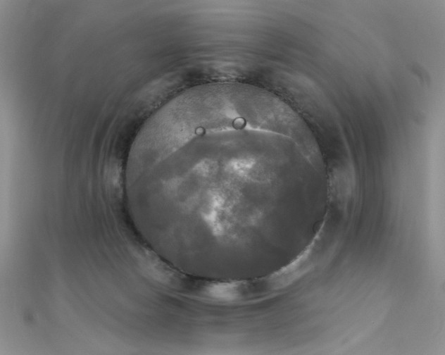 X0000111480178200907141225