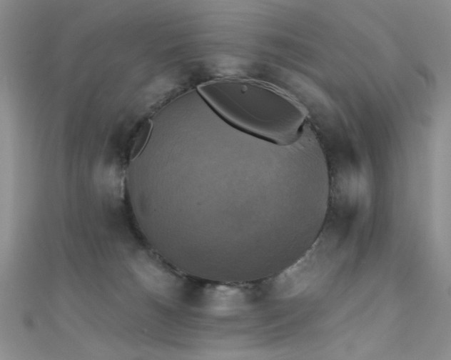 X0000111480180200907141225