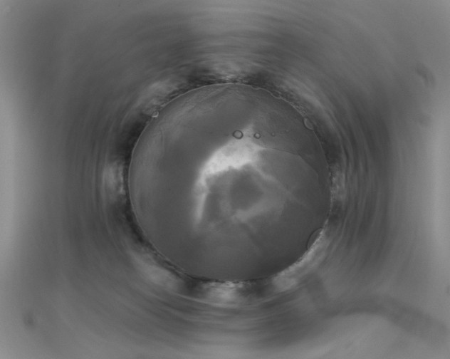 X0000111480182200907141225