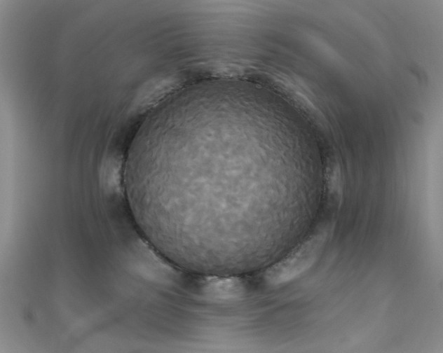 X0000111480185200907141225