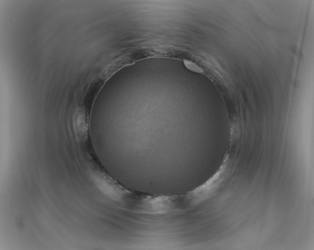 X0000111480186200907141225
