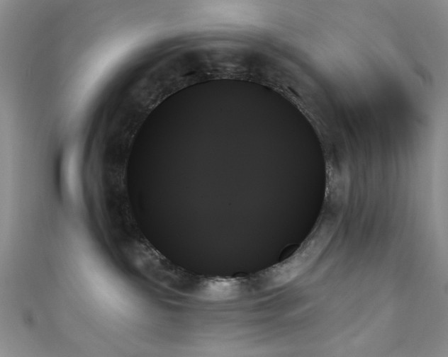 X0000111480189200907141225