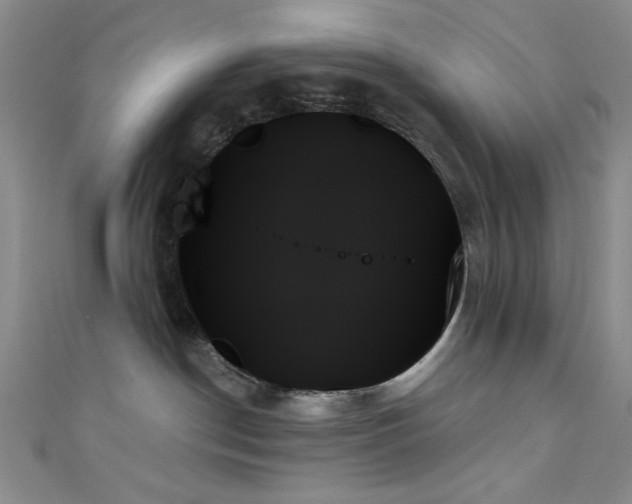 X0000111480190200907141225