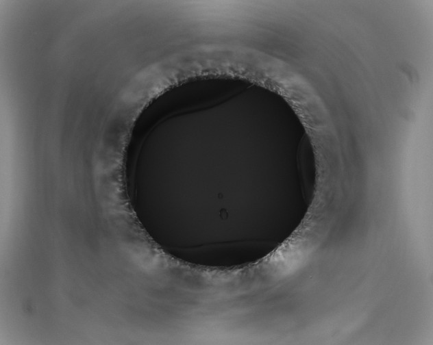 X0000111480192200907141225