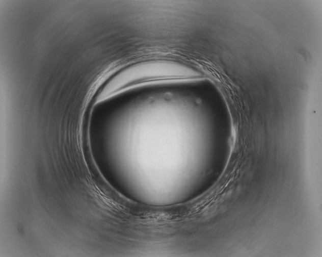 X0000111480195200907141225