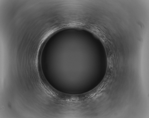 X0000111480196200907141224